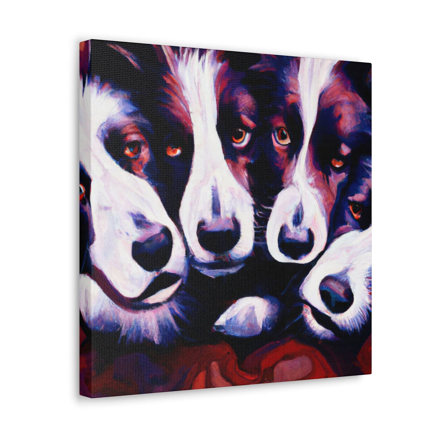 Border Collie Reflection - Canvas