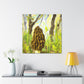 "Morel in Moonlight Glow" - Canvas