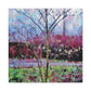 "Dogwood in Springtime" - Canvas