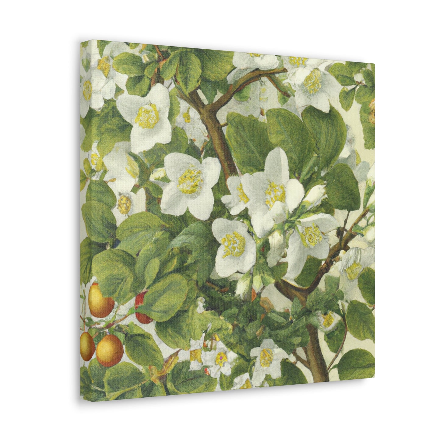 Jasmine in Renaissance Glory - Canvas