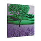 Lavender in Dreamland - Canvas