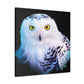 Snowy Owl Majesty - Canvas