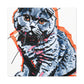 Scottish Fold Delight - Canvas