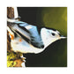 "White Breasted Nuthatch" - Canvas