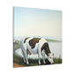 "Milky Dream of Cows" - Canvas