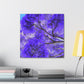 Jacaranda Deco Dreaming - Canvas