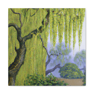 "Willow Tree in Bloom" - Canvas