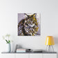 Maine Coon Expressionism - Canvas