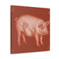 Pig in Splendour. - Canvas