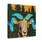 Big Horn Sheep Splendor - Canvas