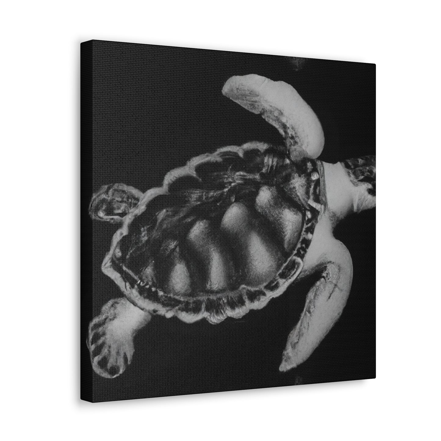 "Sea Turtle Reflection" - Canvas