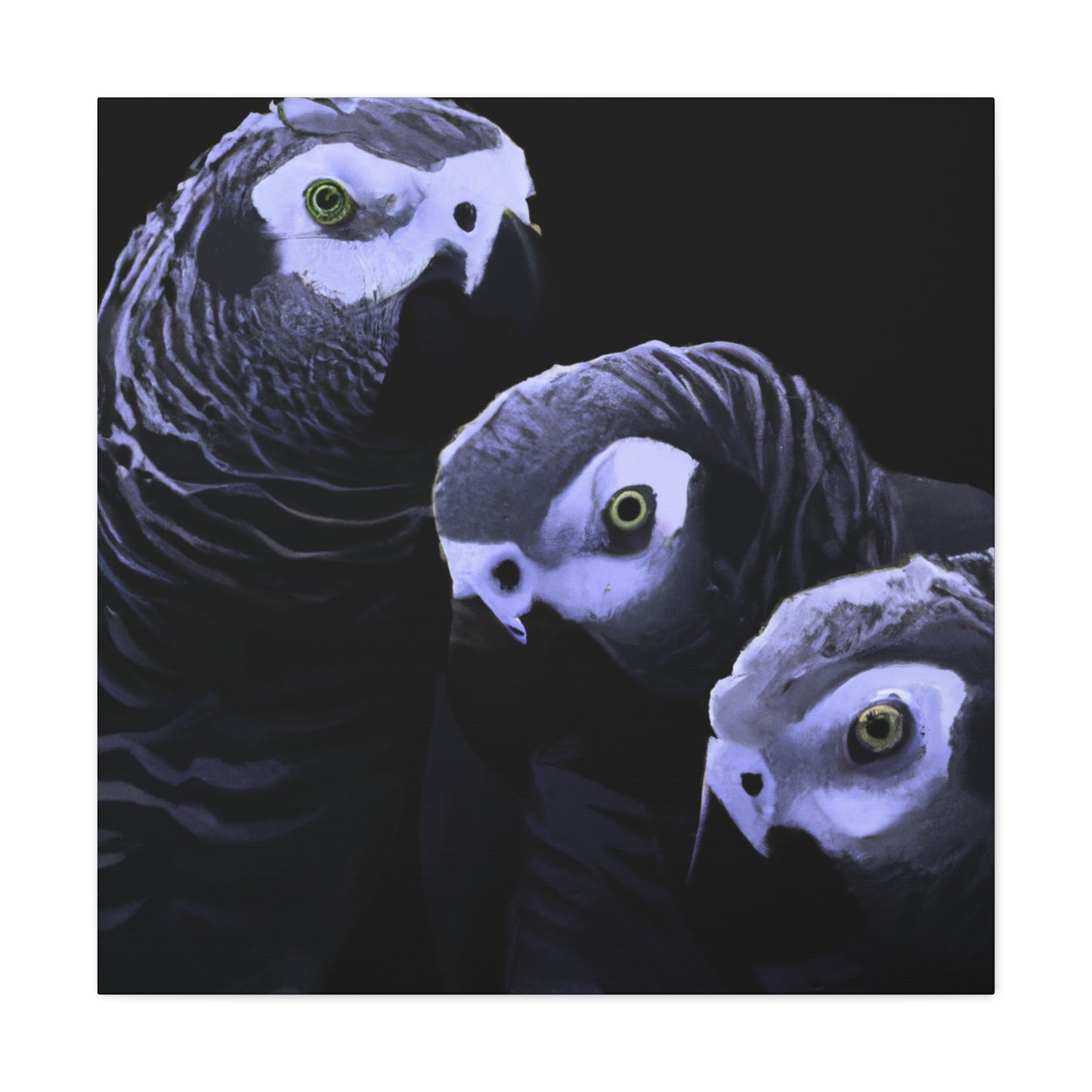 "African Greys Zenith" - Canvas