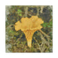 Chanterelle Impressionism - Canvas