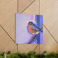 "American Robin Reflection" - Canvas