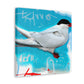 Arctic Tern Magic - Canvas