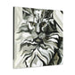 Maine Coon Splendor - Canvas