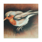 American Robin Reflection - Canvas