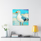 "Seagull In Flight" - Canvas