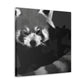 Red Panda Expressionism - Canvas