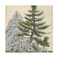 "Pine Tree Immortality" - Canvas