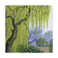 "Willow Tree in Bloom" - Canvas