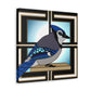 "Blue Jay Illumination" - Canvas