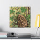 Morel in Splendour. - Canvas