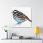 Song Sparrow Melodies - Canvas