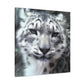 "Snow Leopard Impressionism" - Canvas