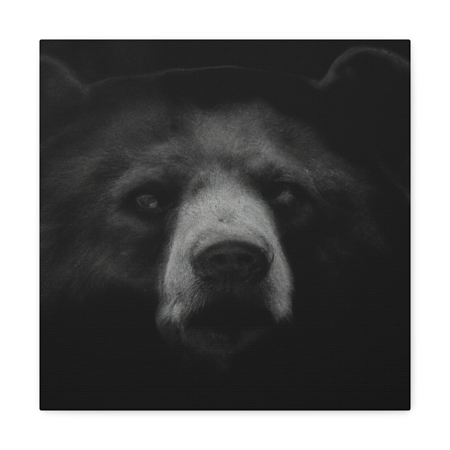 Asiatic Black Bear Gnos - Canvas