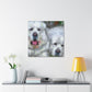 "Great Pyrenees Impressionism" - Canvas