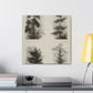 Pine Tree Enchantment - Canvas