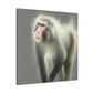 "Majestic Japanese Macaque" - Canvas