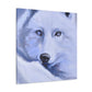 "Arctic Wolf Hyperrealism" - Canvas