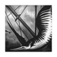 "Sailfish of the Sea" - Canvas