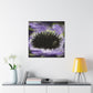 "Sea Urchin Embrace Ebb" - Canvas