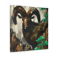 Majestic Rocky Bighorns - Canvas