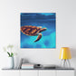 "Blue Sea Turtle MTN" - Canvas