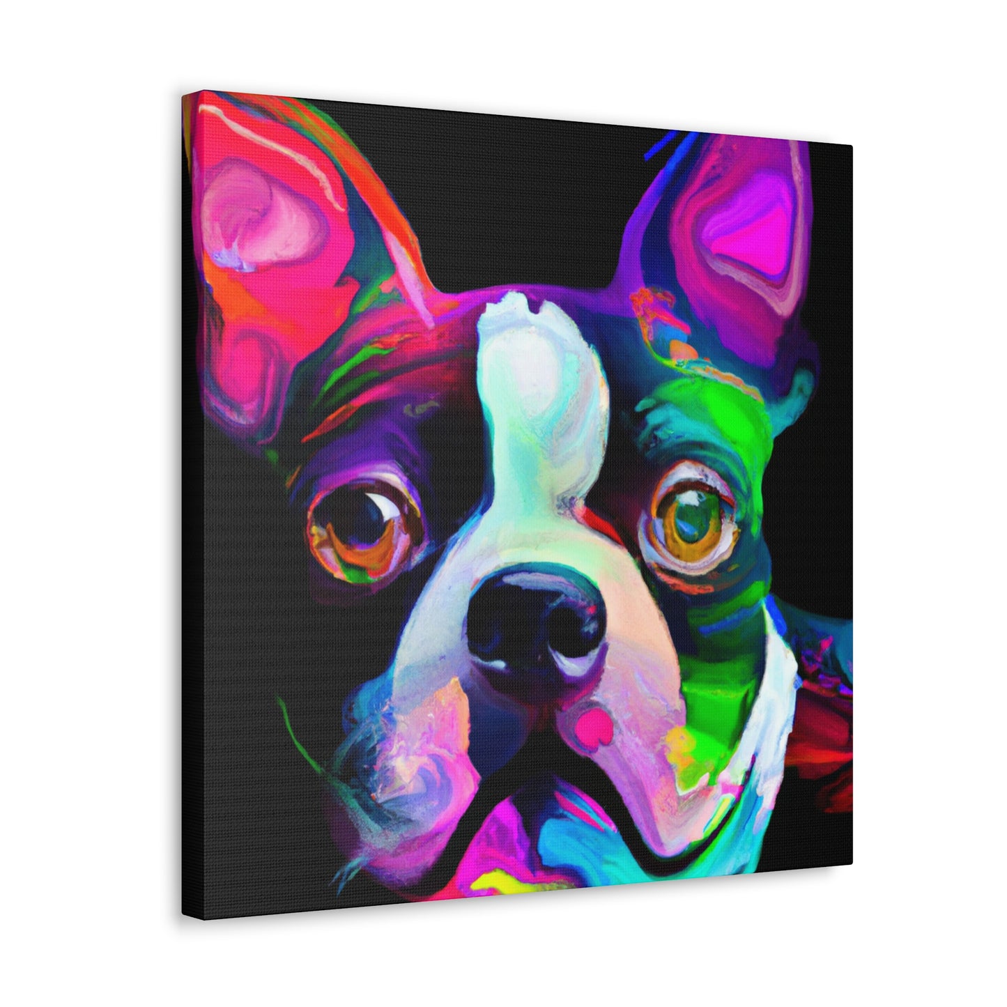 Adorable Boston Terrier - Canvas