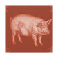 Pig in Splendour. - Canvas