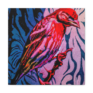 House Finch in Hues - Canvas