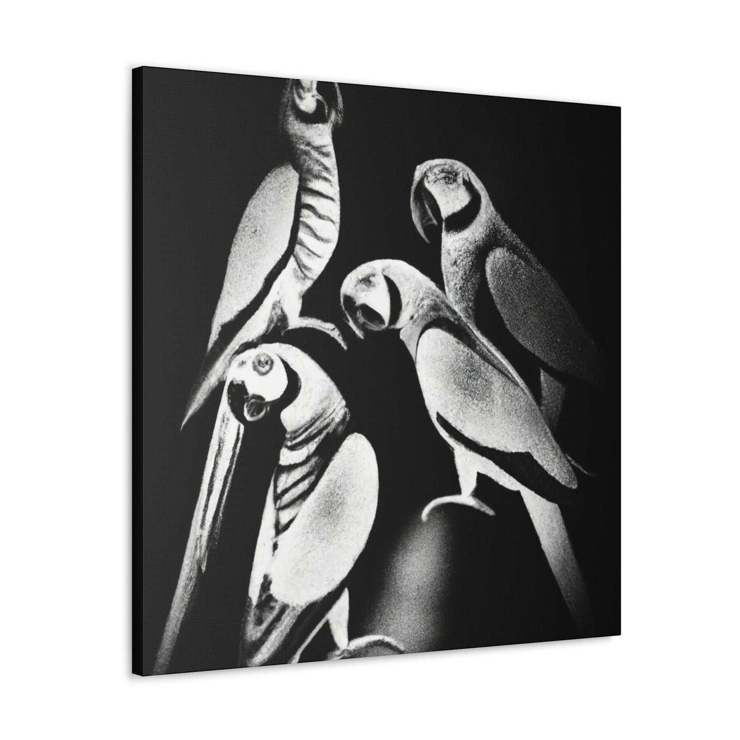 Senegal Parrots Delight - Canvas