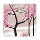 Cherry Blossoms Bloom - Canvas