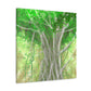 Banyan Tree Illusionist - Canvas