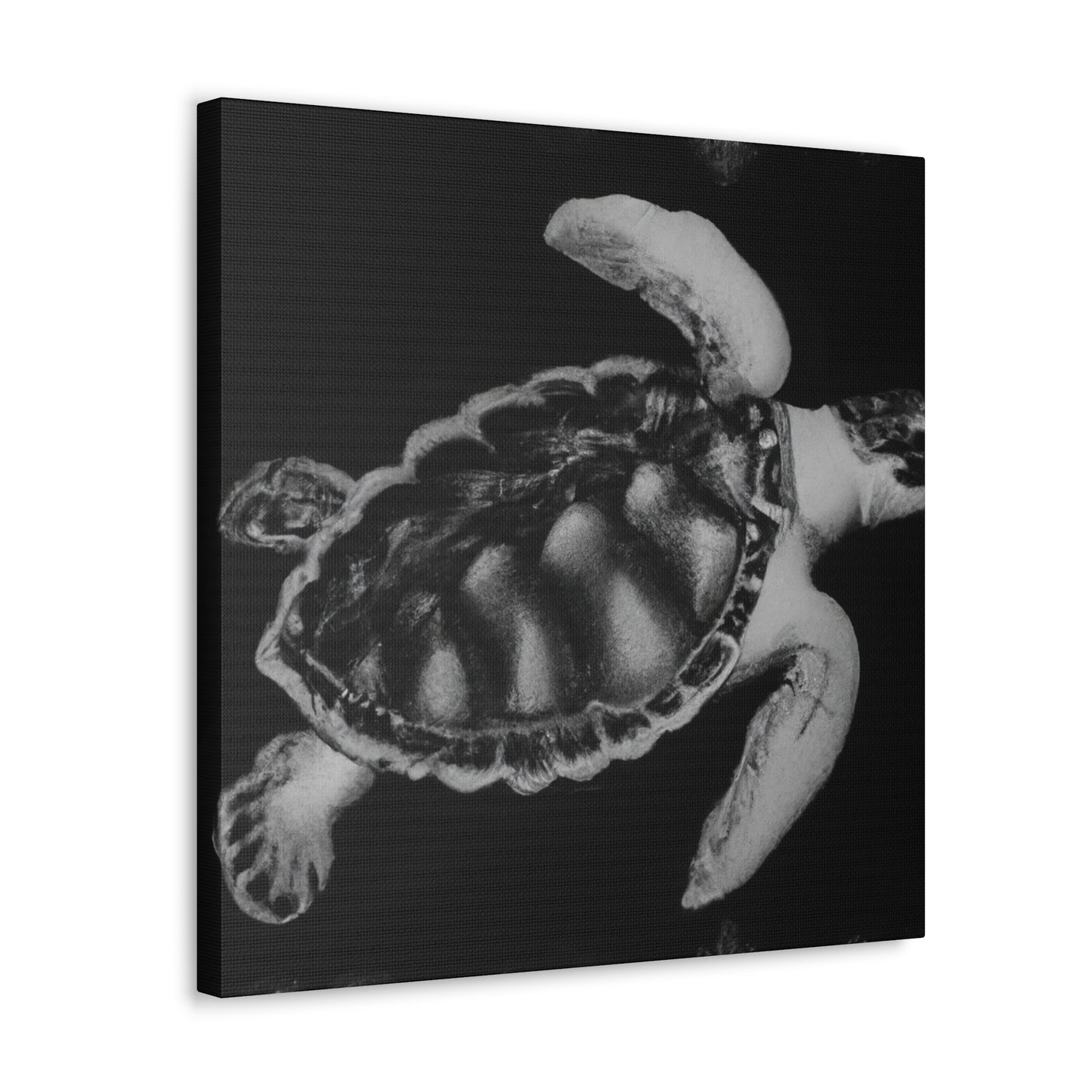 "Sea Turtle Reflection" - Canvas