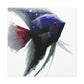 Aquatic Dreamscape Angelfish - Canvas