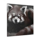 Red Panda Splendor - Canvas