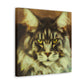 Maine Coon Majesty - Canvas