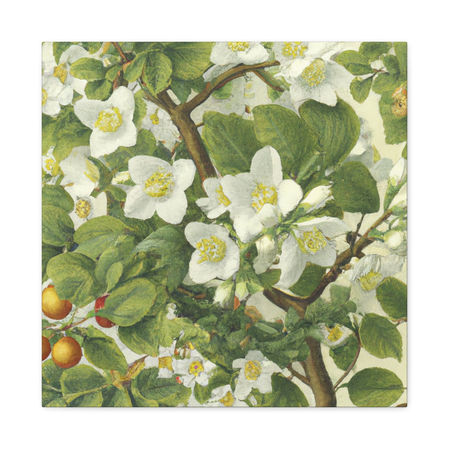 Jasmine in Renaissance Glory - Canvas