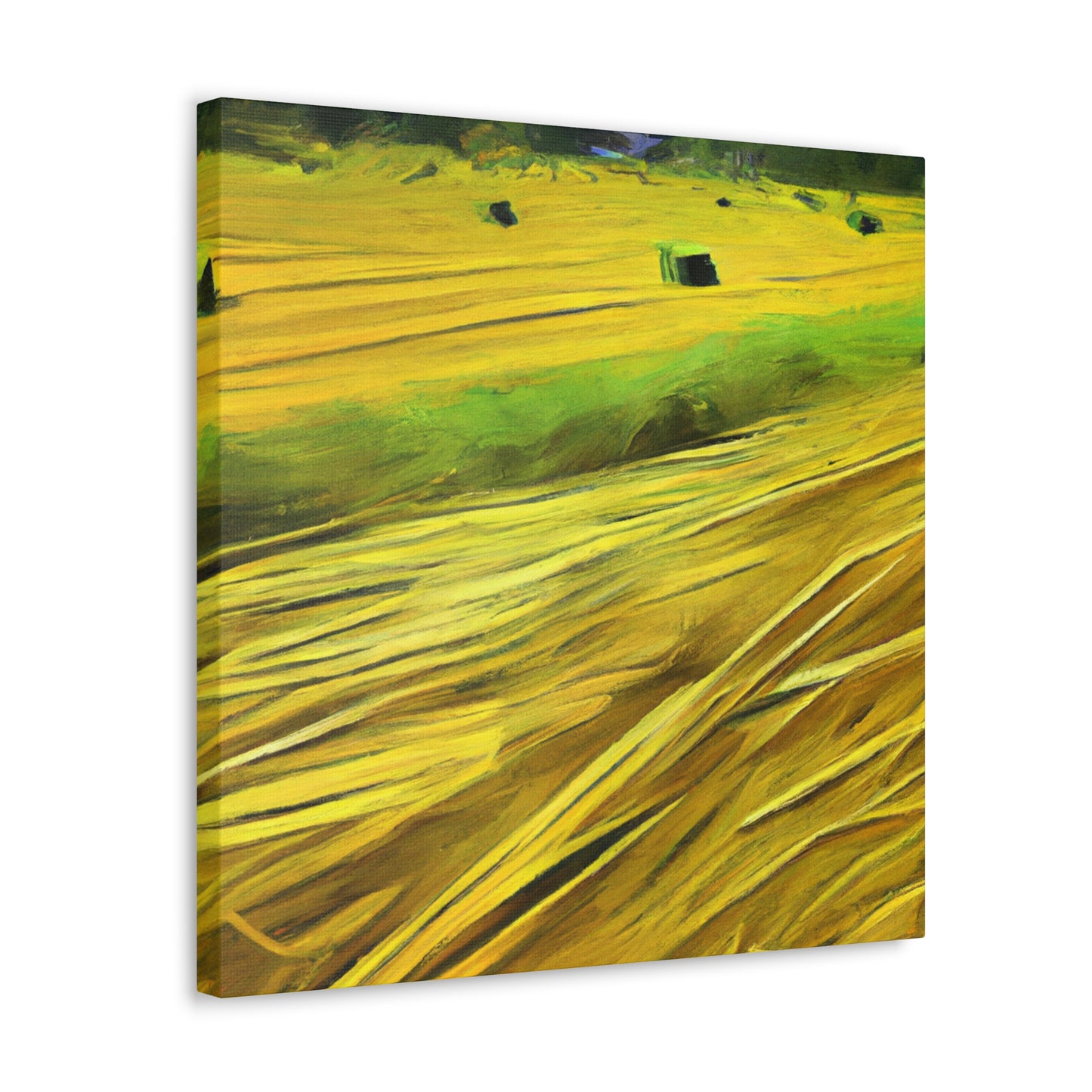 Sunlit Hay Field Dream - Canvas